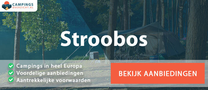camping-stroobos-nederland