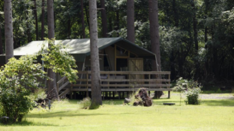 Ardoer Camping Torentjeshoek-vakantie-vergelijken
