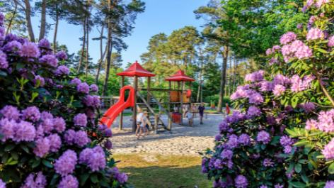 Ardoer Vakantiepark Diana Heide-vakantie-vergelijken