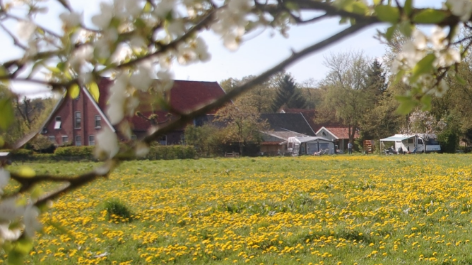 Boerderijcamping De Brömmels-vakantie-vergelijken