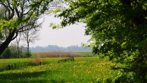 Boerderijcamping Old Huystra State-vakantie-vergelijken