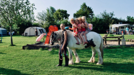 Boerencamping 't Oortjeshek-vakantie-vergelijken