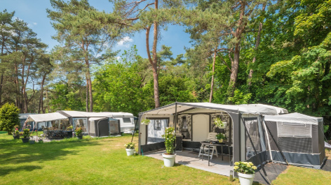 Bos Park Bilthoven-vakantie-vergelijken