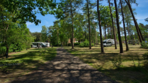 Buitencentrum Hessenheem-vakantie-vergelijken