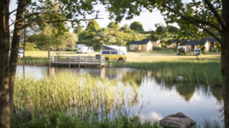 Camp Møns Klint-vakantie-vergelijken