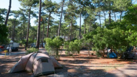 Campéole Plage Sud-vakantie-vergelijken