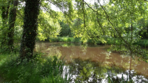 Camping Beauchêne-vakantie-vergelijken