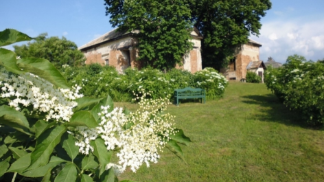 Camping Bij Het Oude Landhuis-vakantie-vergelijken