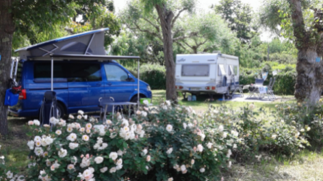 Camping Blu International-vakantie-vergelijken