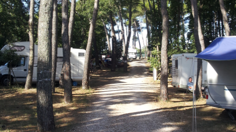 Camping Bosco Selva-vakantie-vergelijken