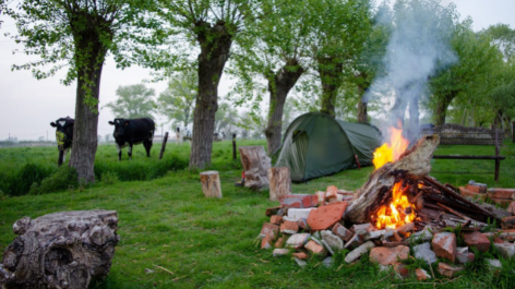 Camping Boven Het Maaiveld-vakantie-vergelijken