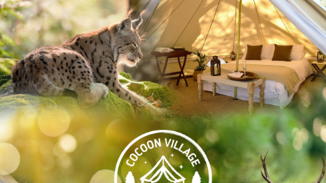 Camping Cocoon Village-vakantie-vergelijken