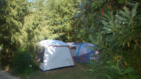 Camping De Bergougne-vakantie-vergelijken