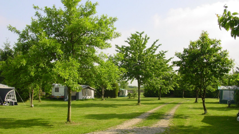 Camping De Boschhof-vakantie-vergelijken