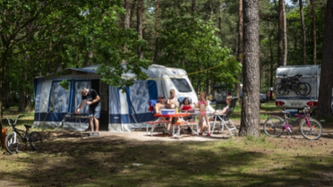 Camping De Lilse Bergen-vakantie-vergelijken