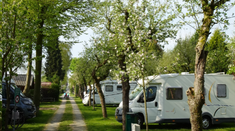 Camping De Linie-vakantie-vergelijken