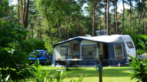 Camping De Rimboe-vakantie-vergelijken