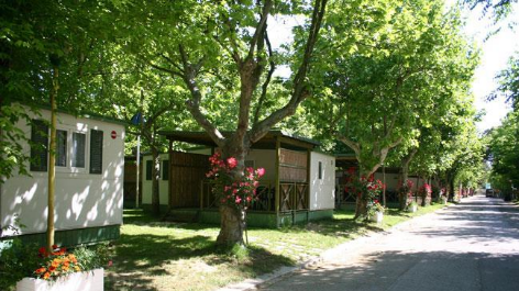 Camping Delle Rose-vakantie-vergelijken