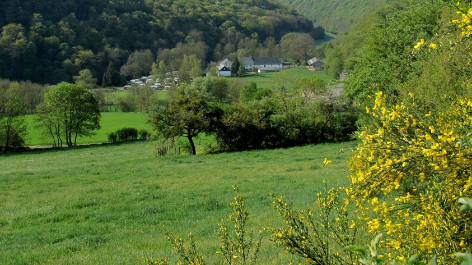 Camping En B&b Berkel-vakantie-vergelijken