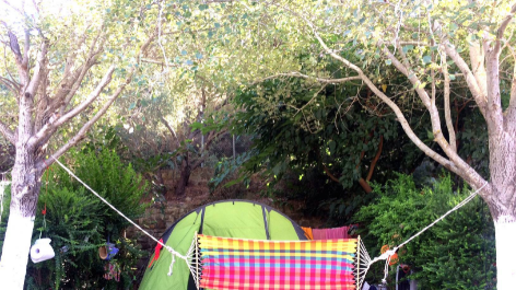 Camping Finikes-vakantie-vergelijken