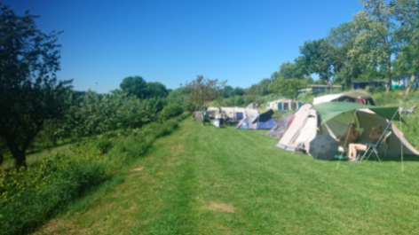 Camping Grensheuvel-vakantie-vergelijken