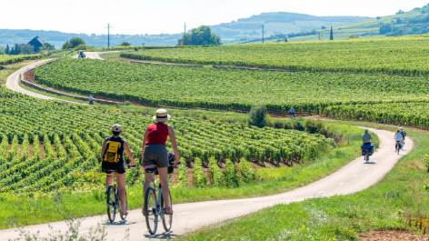 Camping Huttopia Meursault-vakantie-vergelijken