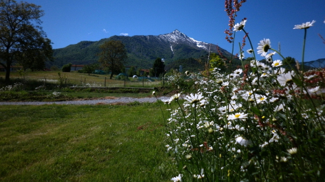 Camping Il Melo-vakantie-vergelijken