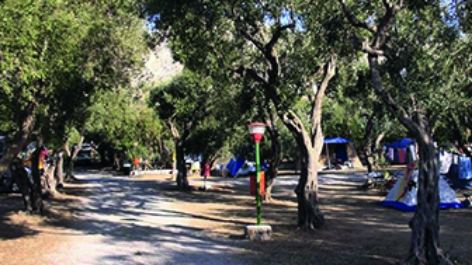 Camping Internazionale La Playa-vakantie-vergelijken