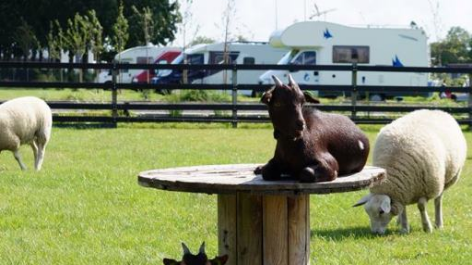 Camping Kweetal-vakantie-vergelijken