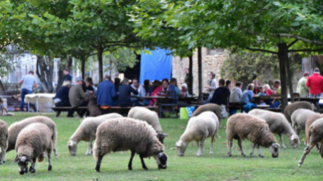 Camping La Brugère-vakantie-vergelijken