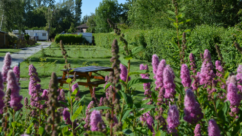 Camping La Petite Forêt-vakantie-vergelijken