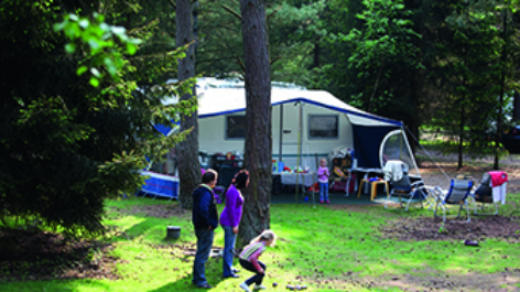 Camping Landal Coldenhove-vakantie-vergelijken