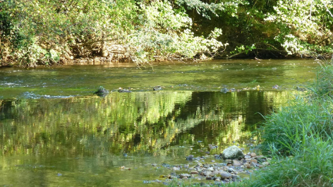 Camping Le Bois Du Coderc-vakantie-vergelijken