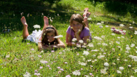 Camping Le Bourdieu-vakantie-vergelijken