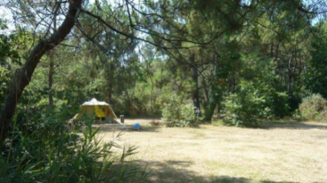 Camping Le Chêne Vert-vakantie-vergelijken