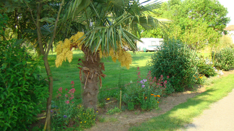 Camping Le Logis De La Lande-vakantie-vergelijken