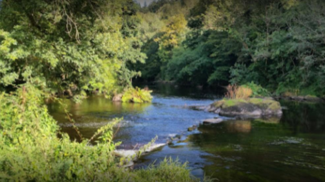 Camping Le Moulin Vert-vakantie-vergelijken