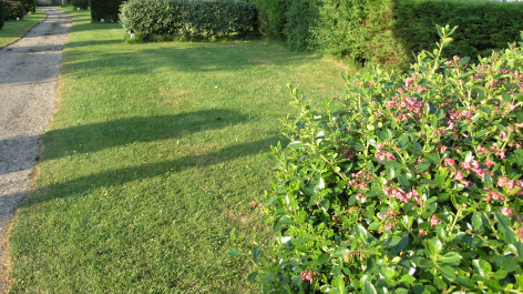 Camping Les Fosses Rouges-vakantie-vergelijken