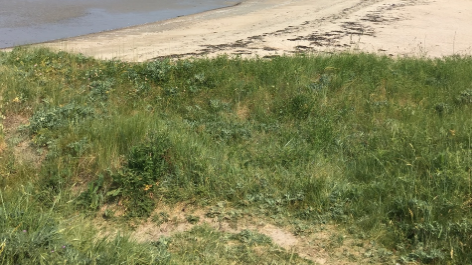 Camping Les Prairies De L'etang-vakantie-vergelijken