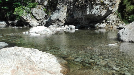 Camping Les Rives De L'ardèche-vakantie-vergelijken