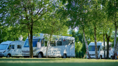 Camping Lesny (nr. 51)-vakantie-vergelijken