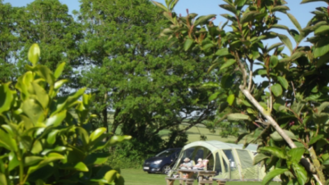 Camping Parkland-vakantie-vergelijken