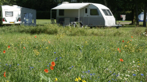 Camping Poelhuis-vakantie-vergelijken