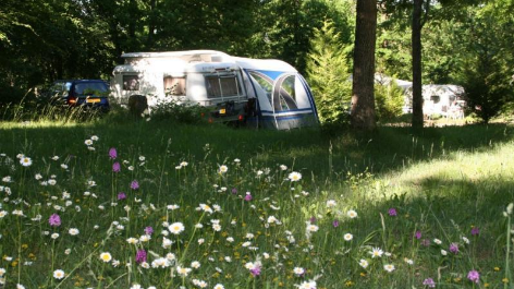 Camping Sites Et Paysages Au Bois Joli-vakantie-vergelijken