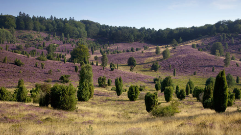 Camping Sonnenberg-vakantie-vergelijken