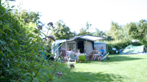 Camping 't Weergors-vakantie-vergelijken