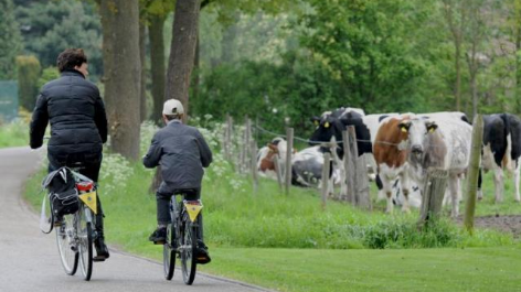 Camping Uit En Thuis-vakantie-vergelijken