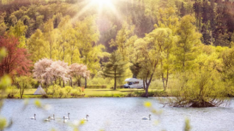 Camping- Und Ferienpark Teichmann-vakantie-vergelijken