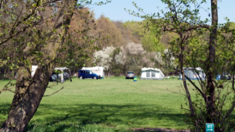 Camping Vogelenzang-vakantie-vergelijken