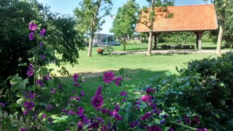 Camping Vorrelveen-vakantie-vergelijken